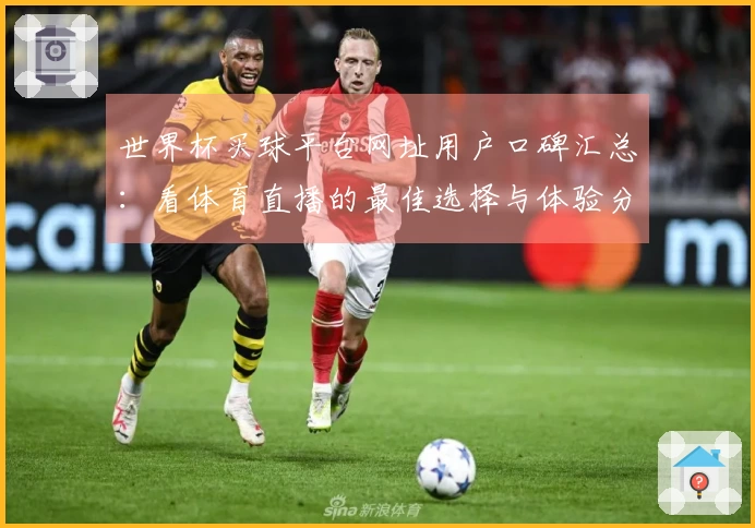 世界杯买球平台网址用户口碑汇总：看体育直播的最佳选择与体验分享