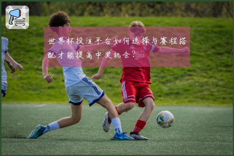 世界杯投注平台如何选择与赛程搭配才能提高中奖机会？
