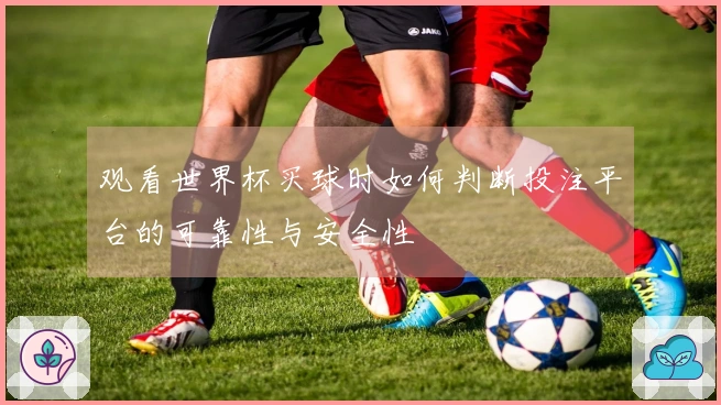 观看世界杯买球时如何判断投注平台的可靠性与安全性