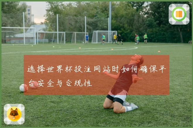 选择世界杯投注网站时如何确保平台安全与合规性