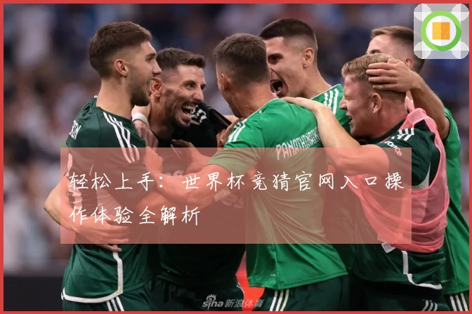 轻松上手：世界杯竞猜官网入口操作体验全解析
