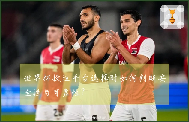 世界杯投注平台选择时如何判断安全性与可靠性？