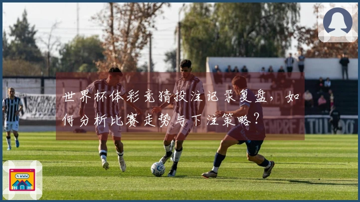 世界杯体彩竞猜投注记录复盘，如何分析比赛走势与下注策略？