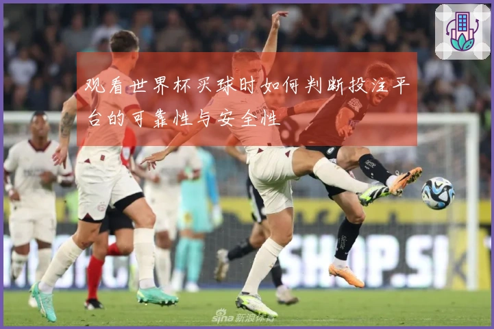 观看世界杯买球时如何判断投注平台的可靠性与安全性