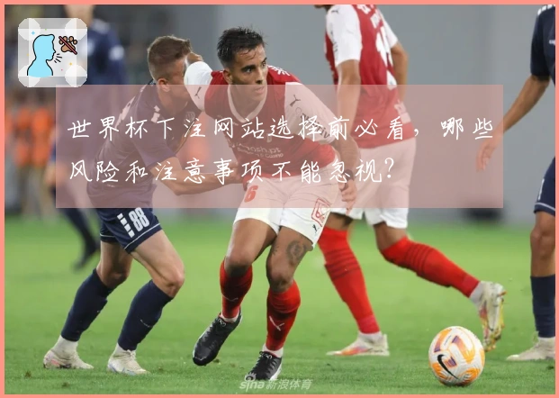 世界杯下注网站选择前必看，哪些风险和注意事项不能忽视？