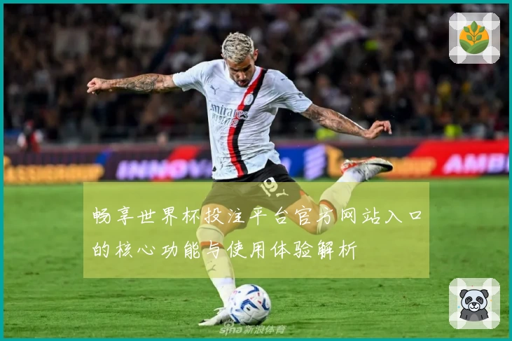 畅享世界杯投注平台官方网站入口的核心功能与使用体验解析