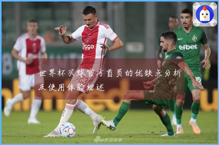 世界杯买球官方首页的优缺点分析及使用体验综述