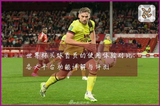 世界杯买球首页的使用体验对比：各大平台功能详解与评测