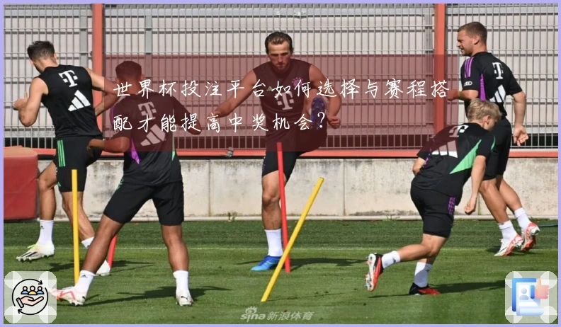 世界杯投注平台如何选择与赛程搭配才能提高中奖机会？