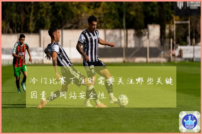 冷门比赛下注时需要关注哪些关键因素和网站安全性