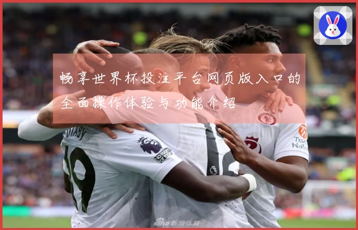 畅享世界杯投注平台网页版入口的全面操作体验与功能介绍